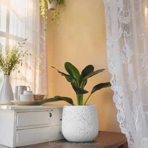 Bộ chậu cây nhỏ trang trí Foyooplanter bán buôn, thích hợp trồng cây mọng nước, hoa, dùng trong nhà, văn phòng - Product Image 6