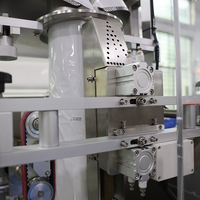 Machine d'emballage automatique de haute qualité pour le remplissage de liquides, détergents et eau en grandes conteneurs en plastique
