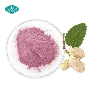 Nutrifirst Fruit Powder Products Manufacturers Mulberry Fruit Frozen-Dried Powder Water Soluble in Bulk