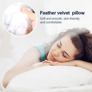 <span class=keywords><strong>Oreiller</strong></span> en plumes <span class=keywords><strong>de</strong></span> luxe confortable et doux <span class=keywords><strong>de</strong></span> qualité supérieure pour la maison et l'hôtel - Product Image 5