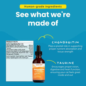 OEM/ODM kıdemli kedi eklem takviyesi-artrit desteği ve hareketliliği için organik sıvı glukozamin MSM ve kondroitin damlaları - Product Image 3