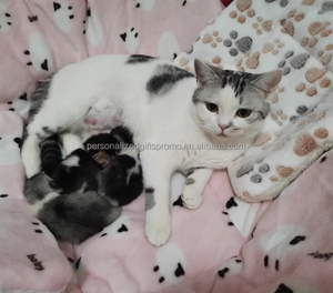 Домашнее животное Ватерлоо Прямоугольный Диван для собак Портативный коралловый флисовый бархатный пушистый матрас мягкий уютный матрас животных складные одеяла для кошек и щенков - Product Image 2