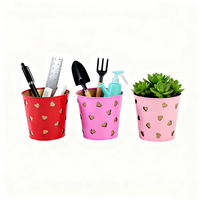 3-Pack pot pot tanaman multifungsi, dilapisi bubuk besi untuk meja kantor, alat berkebun penyimpanan pot bunga sukulen