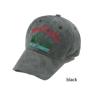 Nouveau <span class=keywords><strong>printemps</strong></span>/été chapeau <span class=keywords><strong>de</strong></span> Baseball extérieur lavé et vieux Vintage <span class=keywords><strong>montagne</strong></span> lettre brodé canard langue chapeau pour hommes - Product Image 2