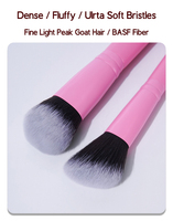 Pinceaux professionnels pour maquilleurs, en poils naturels, pour fard à paupières, poudre libre, blush rose, avec logo personnalisé et pochette.