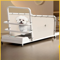 Tapis roulant électrique pour animaux de compagnie, entraînement en intérieur, appareil de patinage pour animaux de compagnie adapté aux animaux de petite et moyenne taille