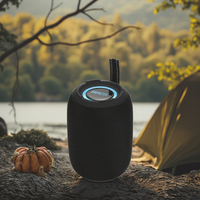 Mini haut-parleurs portables TWS Subwoofer sans fil à lumière LED RVB avec son stéréo de basse USB pour les fêtes musicales en plein air