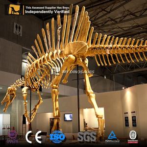 私の恐竜教育用等身大恐竜骨格模型 スピノサウルス - Product Image 2