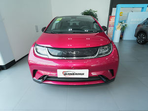 BYD Haitun delfino Mini veicolo SUV elettrico nuova energia auto EV auto SUV struttura della carrozzeria Made China BYD produttore di auto elettriche - Product Image 4