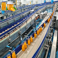 ENAK High Productivity 1 Ton/hour Canned Mandarin Processing Line with Sorting Weighing Packing Line
