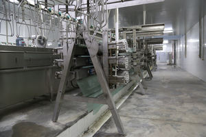 Machine d'abattage <span class=keywords><strong>de</strong></span> volaille halal automatique, ligne <span class=keywords><strong>de</strong></span> transformation complète, conforme aux normes islamiques, 500-3000 oiseaux/heure - Product Image 5