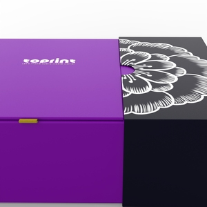 Trang Điểm Thanh Lịch Hộp Quà Tặng Với Trung Tâm Mở Từ Cứng Nhắc Hộp Nhà Sản Xuất Bao Bì Cho Son Môi Nước Hoa Trang Điểm Bộ - Product Image 4