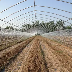 Tunnel poly de serre utilisé par l'agriculture avec le tampon de refroidissement évaporatif et le ventilateur de refroidissement