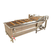 Commerciële volautomatische fruit- en groentereinigingsmachine Roestvrijstalen bubbelozonwasmachine Motor met hoge efficiëntie