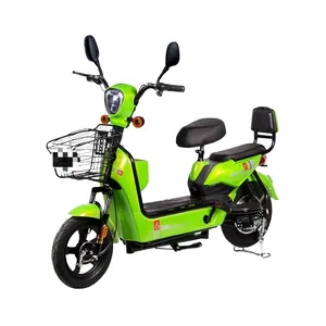 2024 Manufacturer Best-Selling Adult 48v 14inch 45km/H 350w Waterproof Silent Motor E-Bike Electric Bicycle Electric Motorcycle