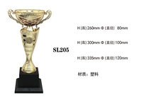 Fabricant chinois de trophées sportifs en métal gravés personnalisés, durables, pour billard, karaté, basketball, médailles et trophées