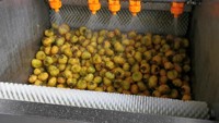 Cassave-wortel-aardappel-wortelgroente commerciële wasmachine en fruitwas- en schilmachine, hoge efficiëntie, SUS304 materiaal