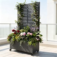 Jardinière mobile en métal avec treillis et roues, potager surélevé d'extérieur avec écran d'intimité et drainage
