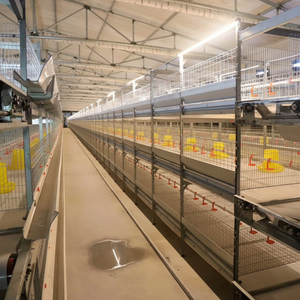 Conception facile à nettoyer peu encombrante, adaptée à la cour de la maison, cages pratiques pour le levage de poulets de chair à petite échelle - Product Image 1