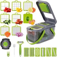 Fruit-En Groenteverwerkingsmachines Abs Ontwerp Groentesnijder 22in1groente Hakselaar