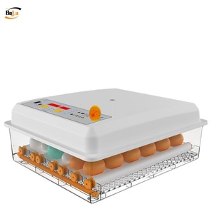 Công suất nhỏ nhựa gia cầm trứng lồng ấp và nở máy cho gà chăm sóc Thương hiệu mới - Product Image 5