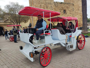 Chariot de tourisme durable à chevaux, véhicule de tourisme à faible entretien pour opérations commerciales - Product Image 1