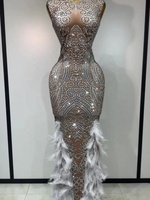 Damen Glitzerndes Strass-Federn-Bodycon-Kleid Ärmellos O-Ausschnitt Luxuriöses Abendkleid für Party Geburtstag Hochzeit Gastkleid
