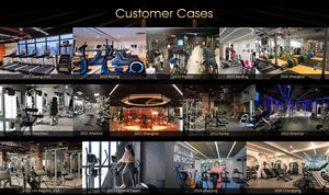 Equipo de Curl de Piernas Cheernin al por Mayor, 80 kg, Acero Sólido, Selectorizado, para Entrenamiento de Piernas en <span class=keywords><strong>Gimnasio</strong></span>, Color Personalizado - Product Image 6