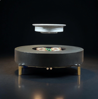 Module de Lévitation Magnétique Flottant DIY : Système de Suspension Personnalisé pour Affichage et Décoration Technologique