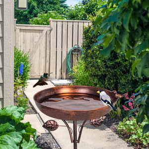 Bain d'oiseaux en fer pour l'extérieur, bol étanche <span class=keywords><strong>de</strong></span> 12 pouces <span class=keywords><strong>de</strong></span> diamètre avec piquet stable, décoration <span class=keywords><strong>de</strong></span> <span class=keywords><strong>jardin</strong></span>, <span class=keywords><strong>de</strong></span> cour et <span class=keywords><strong>de</strong></span> pelouse - Product Image 2