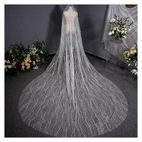 Voiles de mariée longues en dentelle de tulle scintillante, design luxueux, appliqué ivoire, avec peigne, vente chaude