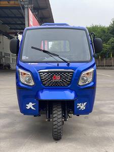 DAYANG moteur essence tricycle Offre Spéciale pas cher motorisé 250cc essence <span class=keywords><strong>3</strong></span> <span class=keywords><strong>roues</strong></span> motos cargo - Product Image 5