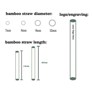 Sedotan bambu alami dapat digunakan kembali sedotan ramah lingkungan sekali pakai untuk berkemah untuk Aktivitas Luar Ruangan