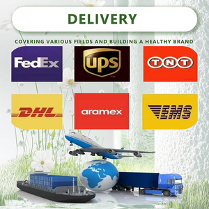 Dukungan imun Harga terbaik kapsul daun <span class=keywords><strong>Moringa</strong></span> suplemen kapsul <span class=keywords><strong>Moringa</strong></span> - Product Image 6