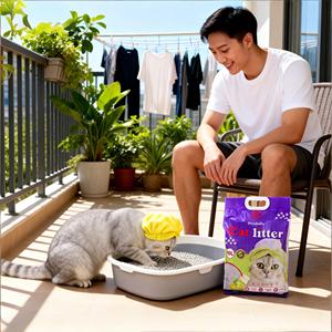 Arena para Gatos DongnaiPETS de Bentonita de 8 kg con Control de Olores, Aglutinación Rápida y Fórmula 99% Libre de Polvo - Product Image 1