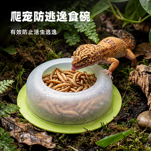 Bol à nourriture pour reptiles, bol à nourriture pour geckos <span class=keywords><strong>et</strong></span> autres reptiles, <span class=keywords><strong>vers</strong></span> de blé, anti-évasion, semi-transparent - Product Image 1