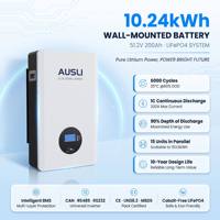 Batterie domestique LiFePO4 10,24 kWh 10 kWh 51,2 V 200 Ah, système de stockage d'énergie solaire, alimentation de secours hors réseau, IP65