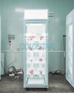 Refrigerador <span class=keywords><strong>de</strong></span> flores comercial Vitrina Canopy Diseño blanco Control <span class=keywords><strong>de</strong></span> temperatura digital Puerta <span class=keywords><strong>de</strong></span> <span class=keywords><strong>vidrio</strong></span> templado Estantes ajustables - Product Image 6