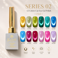 Yunzuan 15ml UV LED Soak Off Cat Eye Gel Polish Dreamy Glitter Magnetic Nail Gel 12 Couleurs OEM ODM