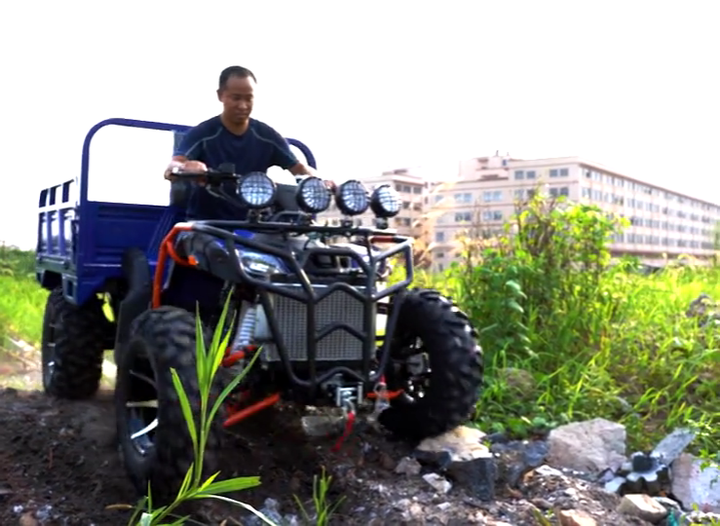 4 Wheelers Cheap Prices Quadmotor Vehicle Atva FARM 250Ccc 300cc