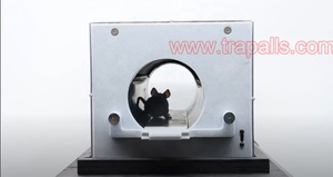 Humane Indoor Glass Live Catch <strong>Electronic</strong> <strong>Rat</strong> Automatic Capture Box Mouse <strong>Trap</strong> - Product Image 2