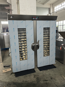 Horno de Panadería Tipo Carro para Despertar el Fermento, con Temperatura Controlable y Circulación de Aire Caliente, Puertas Simples o Dobles LM-32 LM - Product Image 3