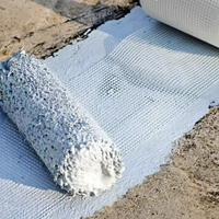 Revêtement d'étanchéité liquide en caoutchouc polymère à base de ciment JS, fourni directement par l'usine, pour application murale, personnalisable