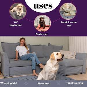 Wasbare Herbruikbare Puppypads Absorberend Zindelijkheidstraining Huisdiermatten Met Bedrukt Patroon Waterdicht Hondenplasbed Voor Zindelijkheidstraining - Product Image 4