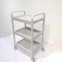 Dernière armoire de salon de tatouage d'art d'ongle multifonctionnelle moderne haut de gamme chariot de beauté en acier inoxydable avec support de rangement mobile