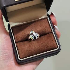 Anillo de Plata de Ley S925 con Diseño de Perro Salchicha con Orejas Grandes, Diseño Artístico Moderno, Curativo, Lindo y Divertido, Separación de Colores, Incrustación Neutral - Product Image 1