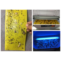 Diverses spécifications Piège à mouches jaune Lampe Stick Board Trap pour fourmis Termites Mites