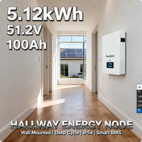 بطارية شمسية 48 فولت 51.2 فولت 100 أمبير 5 كيلوواط ساعة لنظام الطاقة الشمسية الهجين مثبتة على الحائط