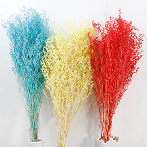 Herbe d'amour de fleur séchée romantique colorée Desmodium Gyran pour des décorations - Product Image 2