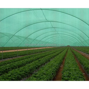 Tenda Parasole Quadrata o Triangolare per Giardino e Parcheggio Auto - Product Image 5